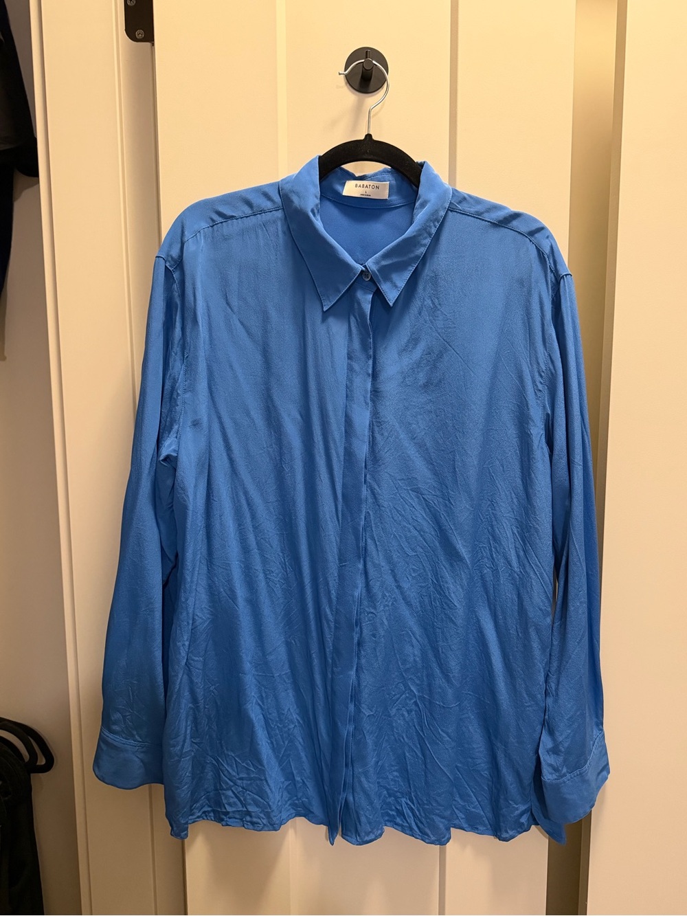 Babaton Silk Shirt